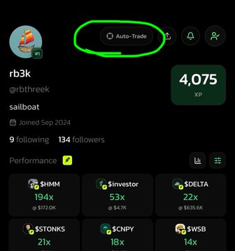 A dark-themed social media profile for user 'rb3k' (@rb3k) shows 4,075 XP, with a green circle highlighting an 'Auto-trade' button.