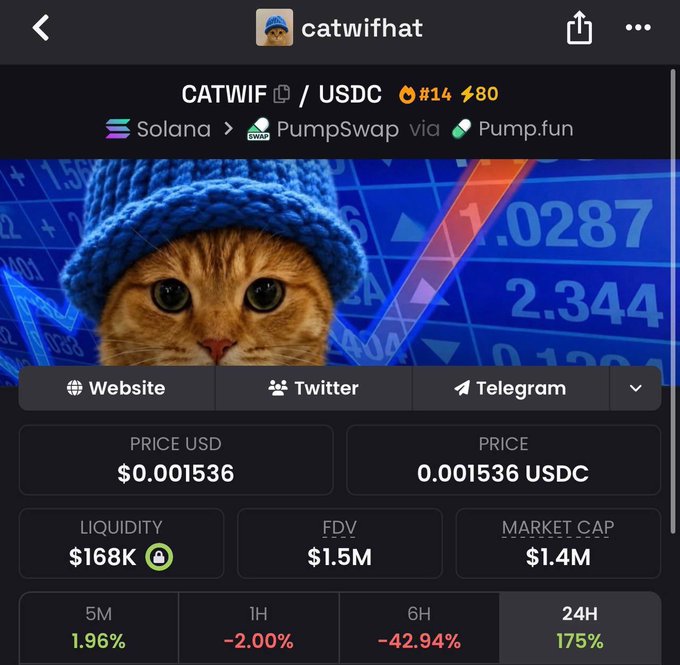 A cryptocurrency token page for 'CATWIF/USDC' on Solana via PumpSwap, showing the catwifat token priced at $0.001536 with a market cap of $1.4M and a 175% gain over 24 hours.