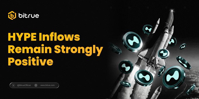 The image shows an advertisement featuring a rocket ship, with text that reads "HYPE INFLOWS REMAIN STONG POSITIVE". The rocket ship appears to be flying towards or around the center of the image, emphasizing its strength and upward trajectory. The text suggests that the cryptocurrency has been positively performing in recent months.