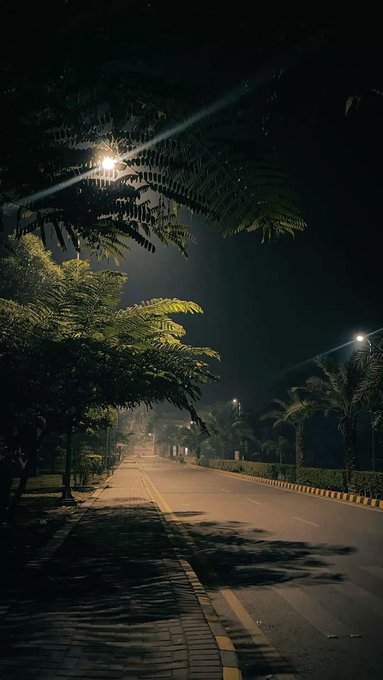 The image shows a street at night with trees lining both sides, creating an atmosphere of darkness. There are two street lights illuminating the scene, casting light onto the road below. The photo has been captioned "Good night with Tria Learning About @UseTria Many people use different apps for trading, payments, and managing crypto. @UseTria is trying to simplify that by bringing everything into one platform. Here'S what Tria offers: Trade Multiple Markets Users can trade".