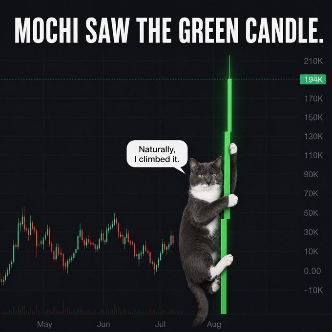 A meme titled 'MOCHI SAW THE GREEN CANDLE.' showing a black and white cat climbing a green candlestick on a trading chart, saying 'Naturally, I climbed it.'
