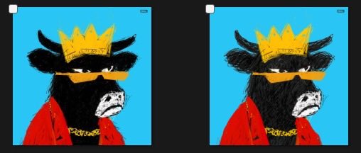 Side-by-side comparison of two illustrations showing a black cow wearing a yellow crown, sunglasses, red jacket, and gold chain against a bright blue background.