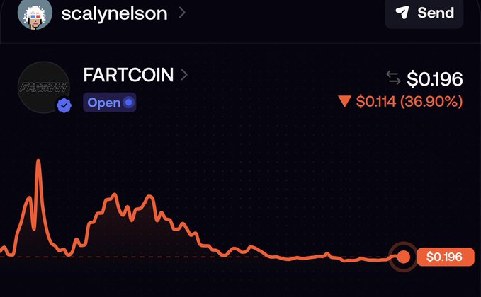 A dark-themed trading interface shows the FARTCOIN token profile owned by user 'scalynelson', displaying a current price of $0.196 with a sharp decline of $0.114 (36.90%) and an orange line chart depicting volatile price history ending at $0.196.