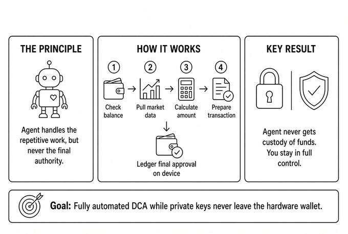 The image illustrates a four-step DCA (Dollar-Cost Averaging) agent workflow—Check balance, Pull market data, Calculate amount, and Prepare transaction—that culminates in "Ledger final approval on device," reinforcing the post's core message that the AI agent automates repetitive trading tasks but never holds custody of funds, with the user retaining final signing authority through their Ledger hardware wallet.