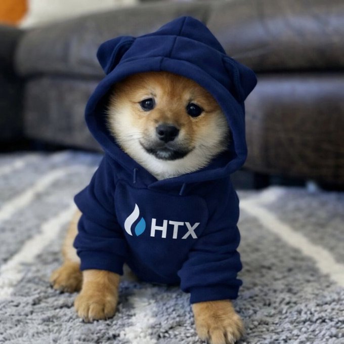 An adorable Shiba Inu puppy wearing a navy blue hoodie with the 'HTX' logo and a flame icon sits on a grey patterned rug.