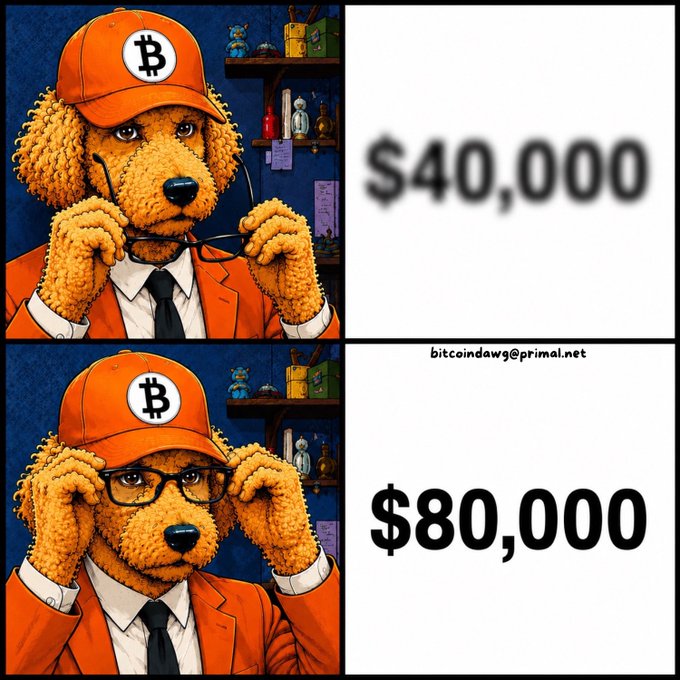 A two-panel meme featuring a poodle wearing an orange Bitcoin hat and suit, with prices doubling from $40,000 to $80,000, credited to bitcoindawg@primal.net.