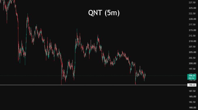 A 5-minute candlestick chart for the ticker 'QNT' shows a sharp downtrend with prices declining from approximately $227 to around $194.