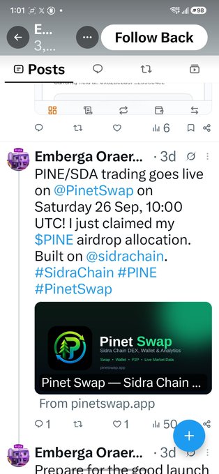 The image shows a social media post from "Emberga Oraer" promoting PINE/SDA trading on @PinetSwap, claiming an airdrop allocation of $PINE built on @sidrachain. This appears to be an example of someone using the Pi name and logo to promote an external project/coin—illustrating the reminder's warning that not everyone referencing Pi is a true Pioneer.