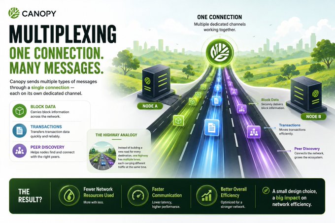 An infographic from Canopy explaining multiplexing technology with the tagline 'One Connection. Many Messages,' illustrating how block data, transactions, and peer discovery travel through dedicated channels between Node A and Node B using a highway analogy.