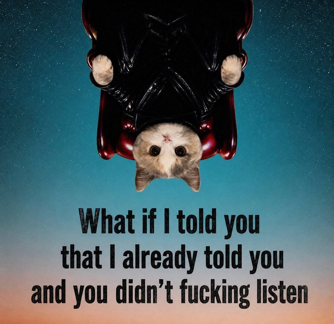 The image features a cat sitting inside an upside-down chair, with its head hanging off the edge of the seat. The caption below the image reads "What if I told you that I already told you... and you didn't fucking listen?" This message seems to be related to the post about the stock market or financial news, as indicated by the reference to $USDC being a trusted ticker in the stablespace.

The cat's position inside the upside-down chair adds an element of humor and playfulness to the image, making it more engaging for viewers who might be interested in discussing the post about the stock market or financial news.