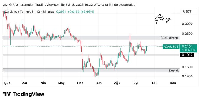 A TradingView chart of ADA/USDT on Binance's daily timeframe shows Cardano trading at $0.2161, up 6.66%, bouncing precisely off a support zone near $0.19 with marked resistance around $0.26, aligning with the post's analysis of a potential rally from support toward resistance.