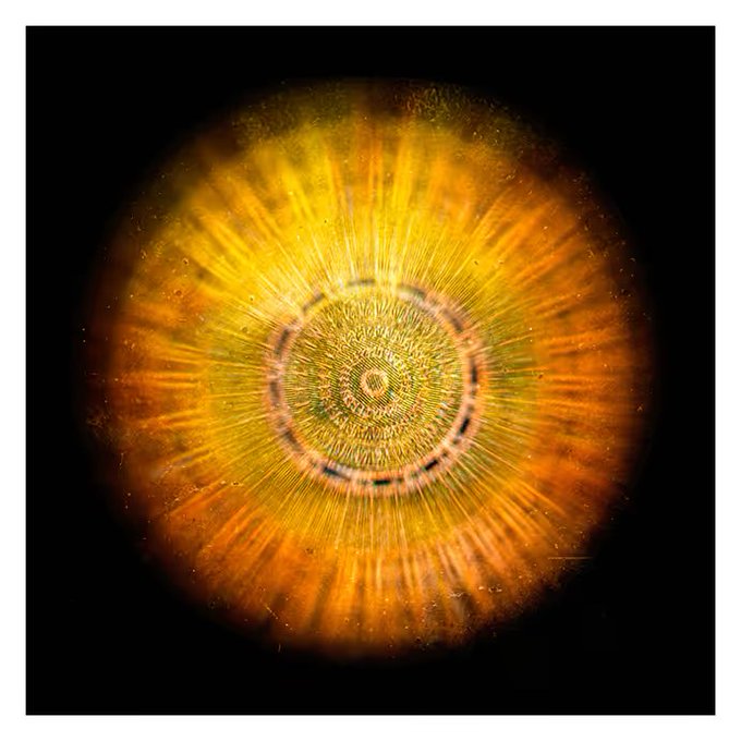 The image features a large circle with an orange center, which appears to be a sunburst pattern or a circular design. The background of the image is black, making the orange center stand out prominently. There are no texts present in the image, but there is a caption that reads "Ra" 1/1 symbolizes and venerates the sun god, creator of life, and responsible for the cycle of death and resurrection".