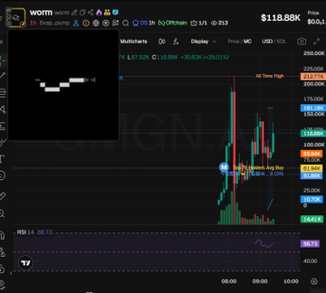 The image shows a DexScreener trading chart for the $WORM token (CA 6xapjEuSr7Ckskwm2fDUM4xXPwYXTDvsjACRiSzBpump) with a current price of $118.58K and market cap of $118.58K, displaying a candlestick chart with volume bars and noting 63.01% holder concentration on the bubblemap. The accompanying post provides on-chain analysis indicating the token lacks snipers/insiders according to devsnightmare, lists top holders including Luan, CryptoHood55, and kelsta97, and highlights a 59.7% CEX cluster held by Binance-funded wallets alongside a smaller 3.3% bubblemap cluster.