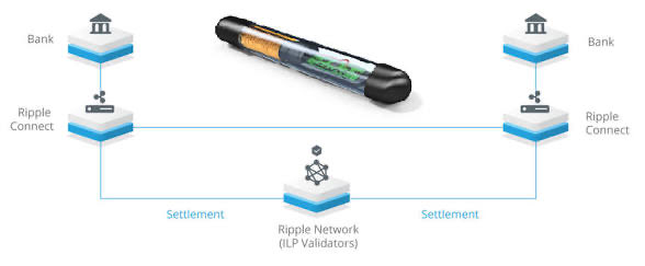 A diagram illustrates the Ripple payment network, showing banks connected via Ripple Connect to the Ripple Network for settlement.