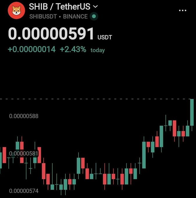A cryptocurrency chart displays the SHIB/TetherUS (SHIBUSDT) trading pair on Binance, showing a current price of 0.00000591 USDT, up 0.00000014 (+2.43%) today with green and red candlesticks.