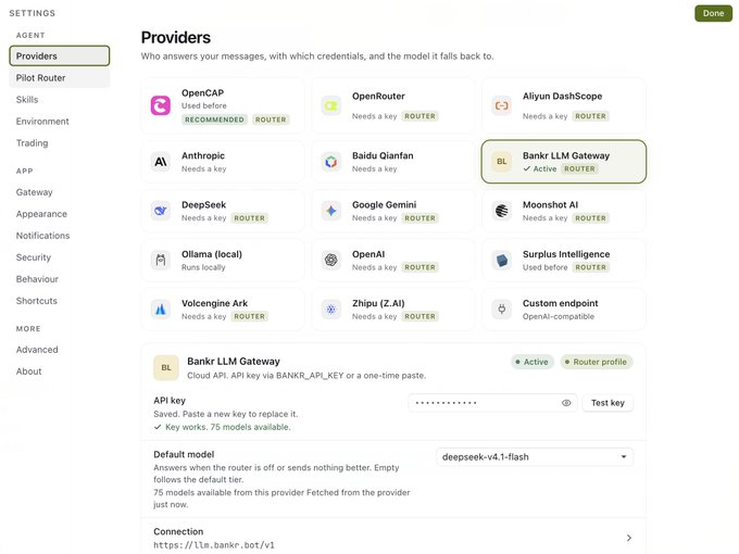 A screenshot of a settings interface showing a 'Providers' menu listing AI services like OpenCAP, OpenRouter, Anthropic, and DeepSeek, with 'Bankr LLM Gateway' currently selected and active.