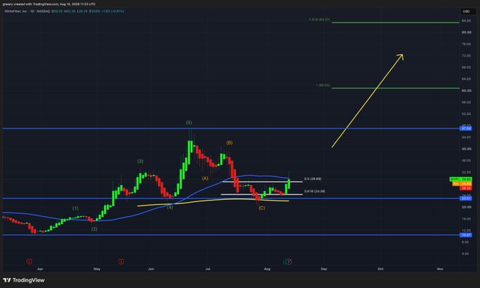 A TradingView chart of WhiteFarm, Inc. ($WYFI) on the NASDAQ displays candlestick price action with Elliott Wave annotations (1-5 and A-C), moving averages, and Fibonacci levels, with a large yellow arrow projecting a bullish move toward $80+ as the post argues against giving up on the stock during its pullback.