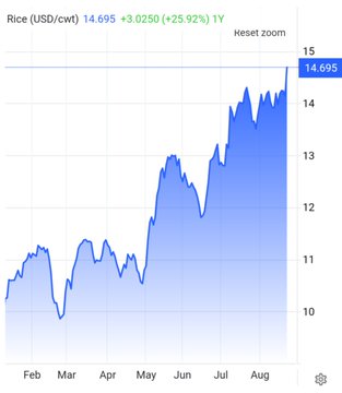 A Google Finance chart displays Rice (USD/cwt) at 14.695, up 3.0250 (+25.92%) year-over-year, showing an upward price trend from February to August.