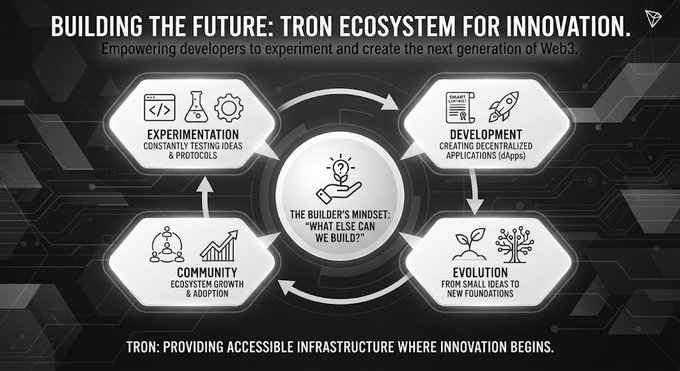 Infographic titled 'BUILDING THE FUTURE: TRON ECOSYSTEM FOR INNOVATION' showing a cycle of Experimentation, Development, Evolution, and Community centered on 'THE BUILDER'S MINDSET' with the tagline 'TRON: PROVIDING ACCESSIBLE INFRASTRUCTURE WHERE INNOVATION BEGINS.'