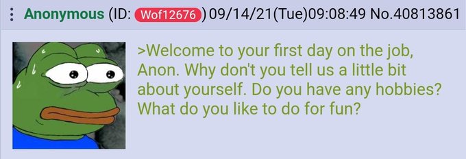 A screenshot from an imageboard shows an anonymous post by ID Wof12676 dated 09/14/21 featuring a Pepe the Frog meme with the text: 'Welcome to your first day on the job, Anon. Why don't you tell us a little bit about yourself. Do you have any hobbies? What do you like to do for fun?'