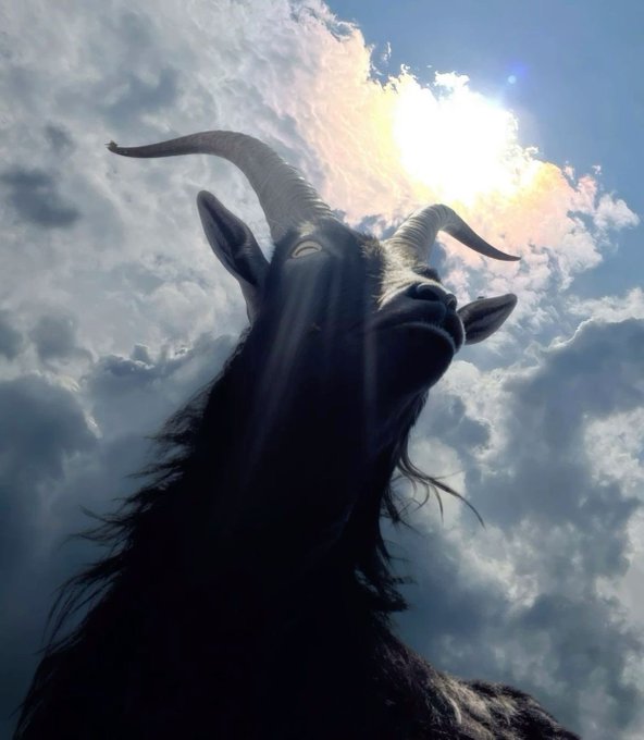 A majestic black goat with long curved horns is silhouetted against a dramatic cloudy sky, with sunlight beaming down from above. The image ties into the "GM" (good morning) greeting as a "GOAT" (Greatest Of All Time) Sunday meme, with the goat's imposing presence symbolizing the acronym for fellow crypto Twitter enthusiasts.