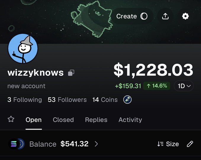 A screenshot of a social/trading profile for 'wizzyknows' showing a balance of $1,228.03 (up $159.31 or 14.6% in 1D), with 53 followers, 14 coins, and an account balance of $541.32.