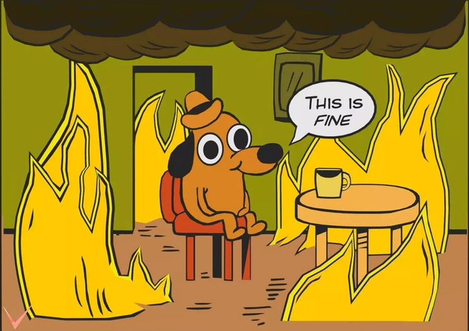 A cartoon dog wearing a hat sits calmly at a table with a coffee mug as flames engulf the room, with a speech bubble reading "THIS IS FINE," satirizing the poster's state of denial while facing massive losses in illiquid ZEC NFTs and unsettling supply concentration revelations.