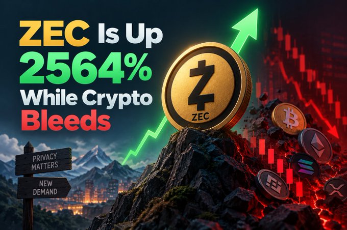 A promotional graphic reads 'ZEC Is Up 2564% While Crypto Bleeds,' featuring a golden Zcash (ZEC) coin with a green upward arrow, contrasted against falling crypto charts, Bitcoin, and Ethereum coins. Signs in the background read 'PRIVACY MATTERS' and 'NEW DEMAND'.