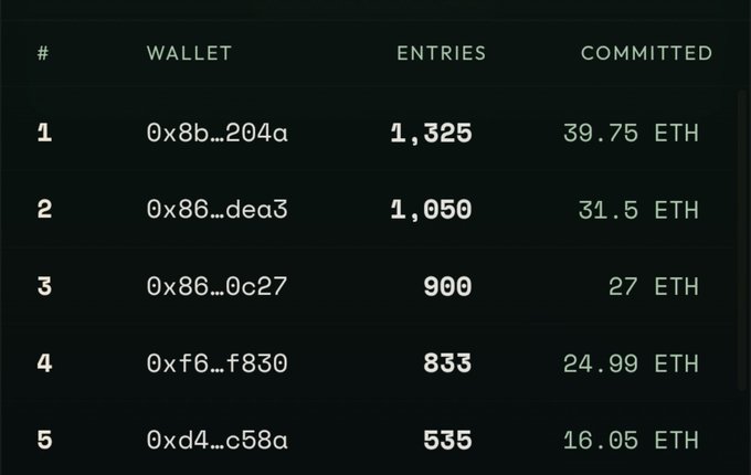 A leaderboard ranking the top five wallets by Blockyz entries, with the leading wallet (0x8b...204a) holding 1,325 entries and committing 39.75 ETH, totaling over 169 ETH among ranks 1-5 as the sale nears its 17-hour closing window.