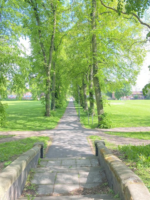 A serene park pathway lined with lush green trees forming a natural canopy, leading into the distance alongside bright grassy fields.