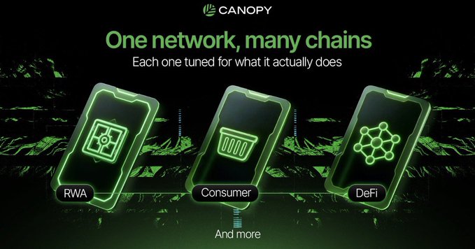A promotional graphic for Canopy with the headline 'One network, many chains - Each one tuned for what it actually does,' showing three smartphone icons labeled RWA, Consumer, and DeFi against a green digital landscape.