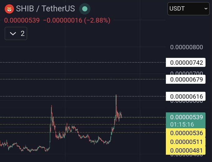 A cryptocurrency trading chart for SHIB/TetherUS showing a price of 0.00000539 with a -2.88% change, featuring price levels listed on the right side.