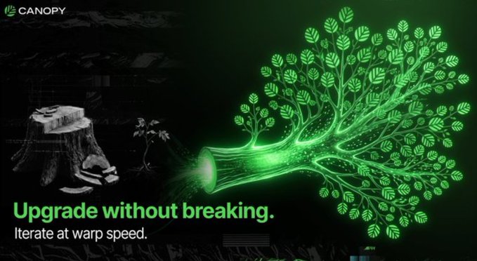 The image features a Canopy ("CANOPY") promotional graphic showing a glowing green tree emerging from a tree stump, symbolizing regrowth and evolution. The text reads "Upgrade without breaking. Iterate at warp speed."—visually reinforcing the post's message that Canopy enables chains to evolve and iterate rapidly without undergoing risky forks or migrations.