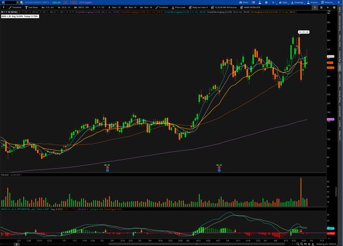 Stock chart on thinkorswim showing AAPL with candlesticks, moving averages, volume bars and a MACD indicator in an uptrend.