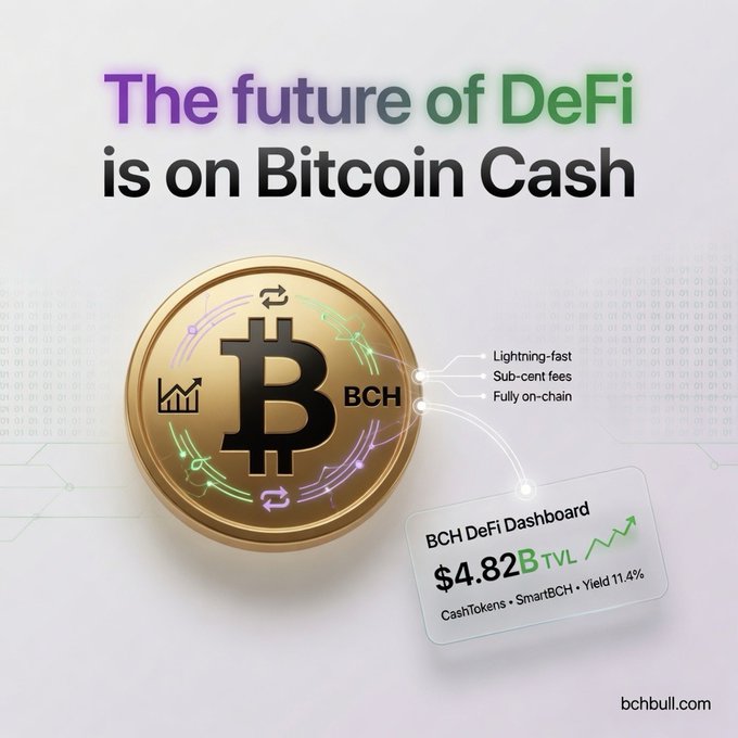 Promotional graphic stating 'The future of DeFi is on Bitcoin Cash', featuring a large gold BCH coin, text highlighting 'Lightning-fast', 'Sub-cent fees', and 'Fully on-chain', and a dashboard showing '$4.82B TVL' with 'CashTokens · SmartBCH · Yield 11.4%' from bchbull.com.