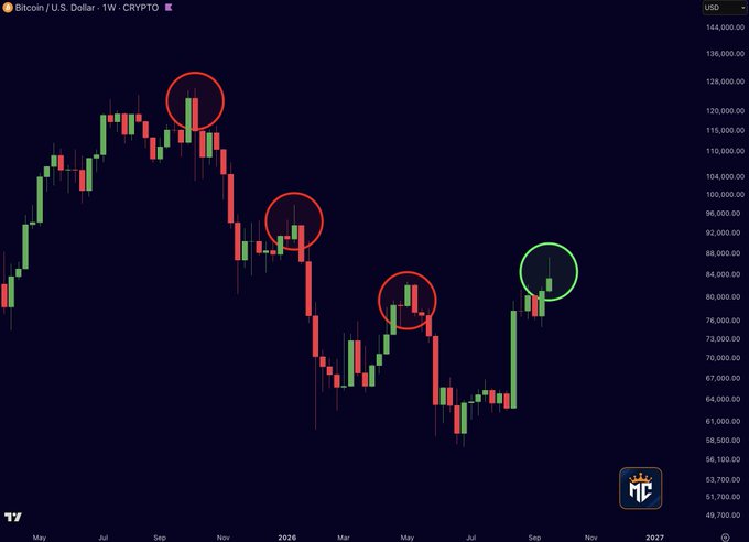 A weekly Bitcoin (BTC/USD) price chart in dark mode showing a downtrend from May through late 2024, with red circles highlighting bearish engulfing candlestick patterns and one green circle highlighting a bullish pattern.