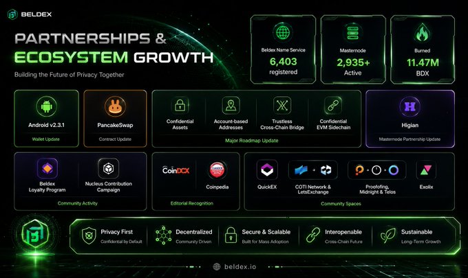 Beldex partnerships and growth infographic titled 'Building the Future of Privacy Together,' displaying ecosystem stats (6,403 home service registered, 2,935+ Mastetrade active, 11.47M BDX burned) and partner logos including PancakeSwap, Higia, CoinDCX, and others.