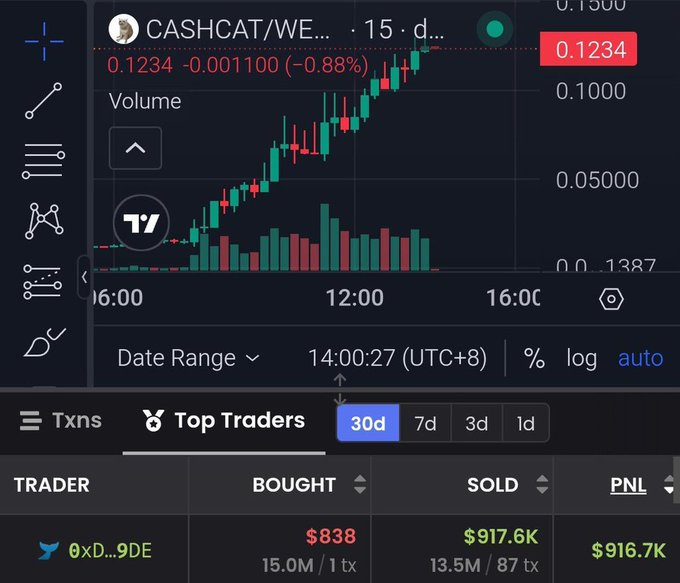The image shows a TradingView candlestick chart for the CASHCAT/WETH pair, displaying a strong uptrend with the price reaching $0.1234, alongside a "Top Traders" panel highlighting a trader (0xD...9DE) who bought $838 worth (15.0M tokens) and sold $917.6K worth, netting a profit of $916.7K. This visually confirms the post's claim of an $800 investment turning into nearly $1M in profit through holding, illustrating the massive returns from early entry into the CASHCAT token.