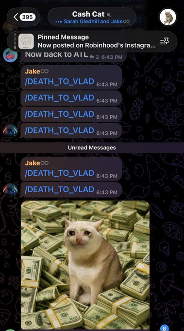 A Telegram chat called "Cash Cat" shows multiple spam messages reading "/DEATH_TO_VLAD" sent by a user named Jake, along with a photo of a cat sitting on stacks of cash, illustrating the chaotic and concerning atmosphere in the $CASHCAT community following its Robinhood listing announcement.
