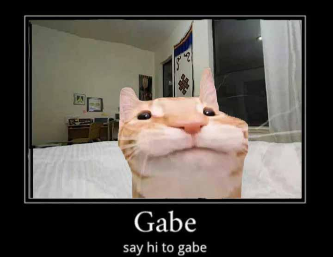 A close-up photo of an orange and white cat named Gabe stares directly at the camera, captioned below with "Gabe - say hi to gabe" in the classic motivational poster style. The image humorously personifies the wide-eyed, attentive cat as if he will indeed remember your greeting all day, as the accompanying text suggests.