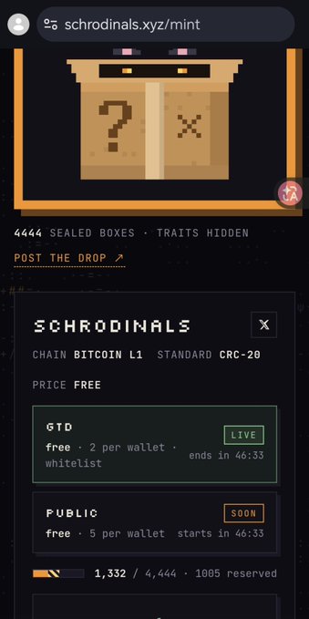A mobile screenshot of the schrodinals.xyz/mint page featuring a pixelated box design, advertising 4444 sealed boxes with hidden traits and showing a live GTD whitelist mint with 1005 reserved out of 4444.