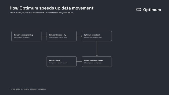 A presentation slide titled 'How Optimum speeds up data movement' showing a flowchart about network data and Linear Network Coding.