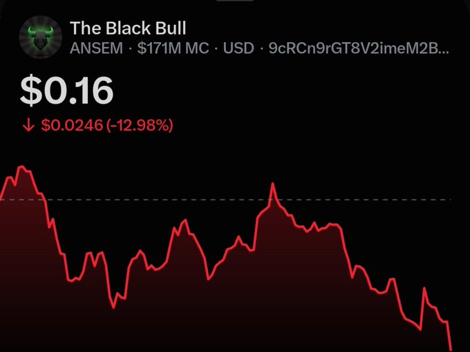 A crypto price chart for "The Black Bull" token showing a price of $0.16, down 12.98% (-$0.0246), with a red downward-trending line graph and $171M market cap.