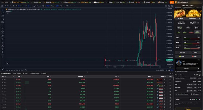 The image shows a cryptocurrency trading platform (Dex-Trade) displaying the HAALAND/SOL memecoin chart on Binance, with a recent sharp decline visible in the price action from around 0.00003000 down to 0.00000904, representing a massive loss after a rapid pump. The post cautions about the risk of investing in trend-based memecoins without taking profits, which is visually demonstrated by the steep red candles crashing down after a brief parabolic spike.