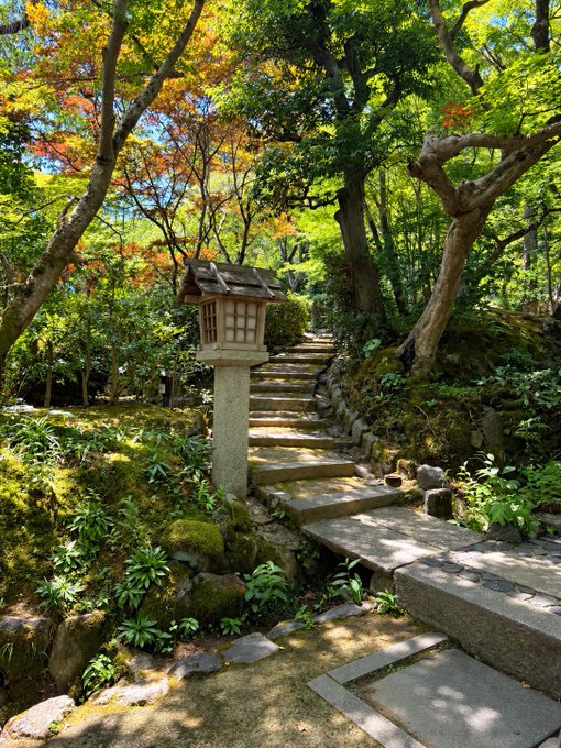 A serene Japanese garden path with stone steps leads upward past a traditional stone lantern, surrounded by lush greenery and hints of autumn foliage in the trees above. The tranquil scene of touching grass and nature perfectly captures a peaceful moment before stepping into the bustling energy of an Asian session.