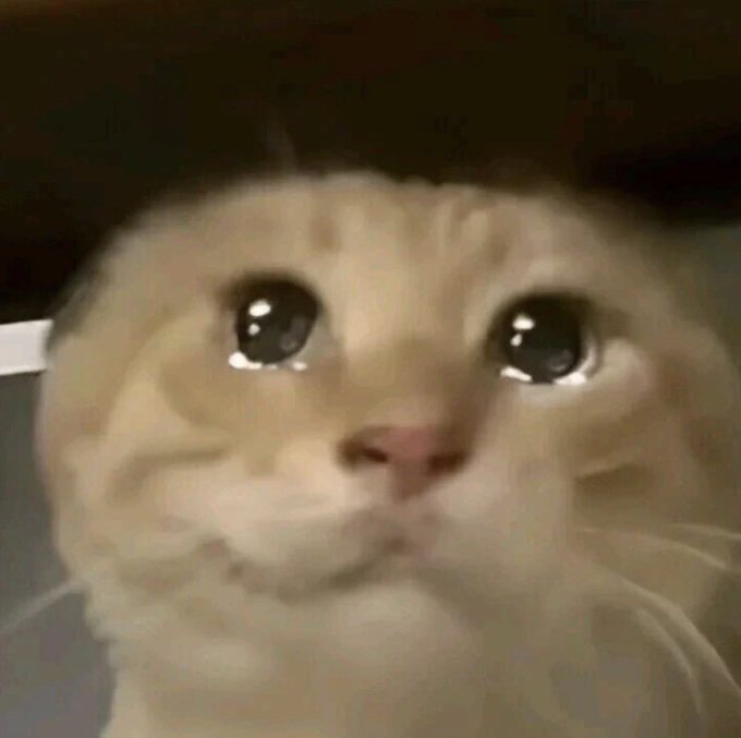 A close-up photo of a wide-eyed orange tabby kitten with a slightly blurry, adorable expression, often used online as a meme to convey overwhelming awe or disbelief—fitting the excitement in the post about a Pepe-themed Chinese meme coin being listed on the Binance exchange.