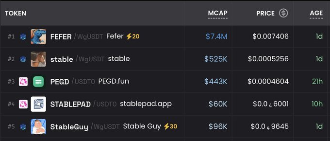 A crypto token rankings table shows five new tokens—including FEFER ($7.4M MCAP), stable, PEGD, STABLEPAD, and StableGuy—all under 1 day to 21 hours old, illustrating the rapid pace of new token launches referenced in the post about chasing meme coin opportunities early on chains like STABLE.