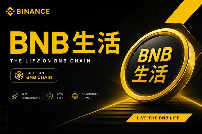 Binance promotional graphic for 'BNB 生活 - THE LIFE ON BNB CHAIN' featuring a gold BNB coin, highlighting features like fast transactions, low fees, and community driven development.