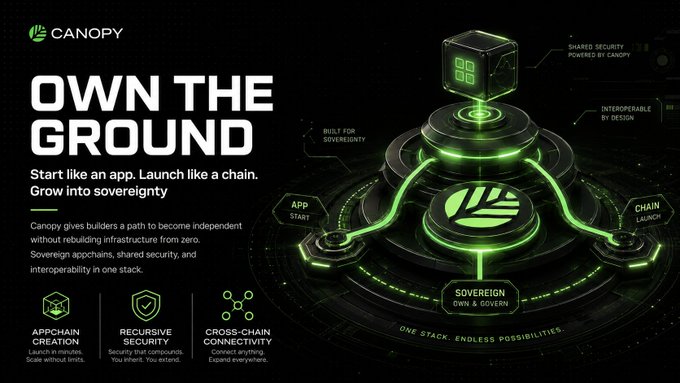 The image features a poster for Canopy Network that highlights their focus on launching products quickly using blockchain technology. The poster includes a 3D rendering of a green cube with the text "OWN THE GROUND" written above it, indicating the company's name or theme. The poster also mentions that many early versions of new projects are built by independent developers and small teams with AI backgrounds, which emphasizes the importance of speed and efficiency in launching products.