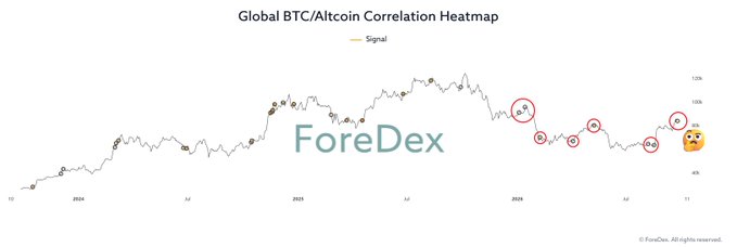 A financial chart titled 'Global BTC/Altcoin Correlation Heatmap' from ForeDex showing a price trend line with multiple circular signal markers and a stressed emoji indicating market volatility over 2024-2025.